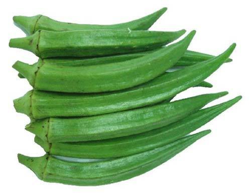 Okra